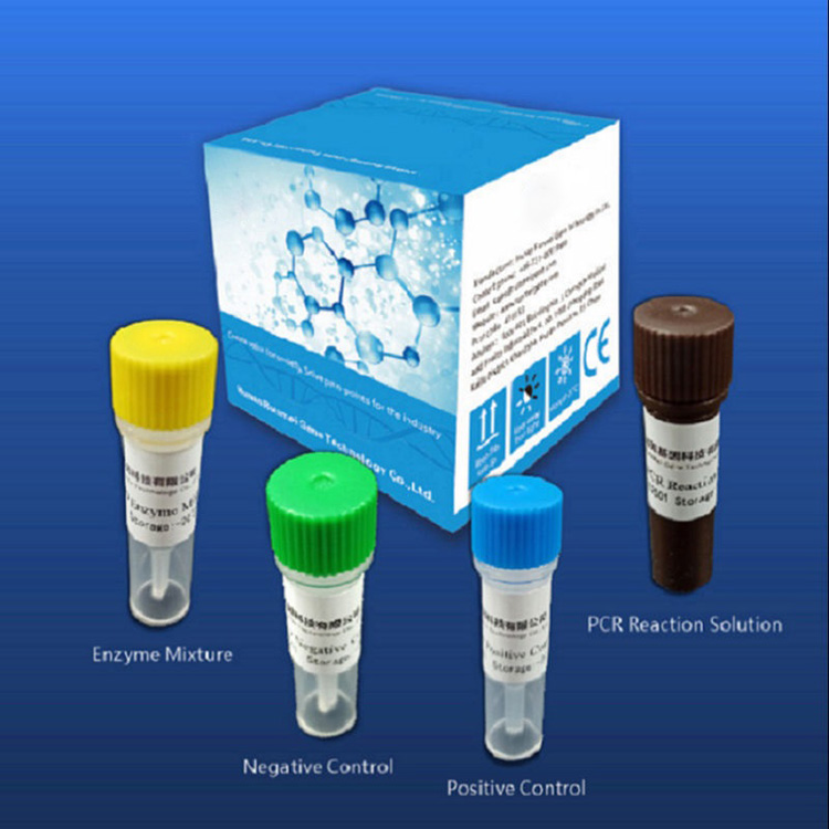 Covid-2019rako erreaktiboen diagnostiko-proba kitak denbora errealeko Pcr plataformaren araberakoak dira